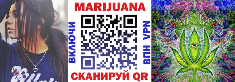 где продают наркотики  Суздаль  Канабис сатива 